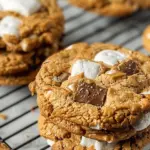 Air Fryer S’mores Cookies