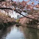 Chicken Stir-Fry with Spicy Peanut Sauce